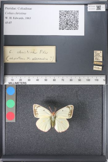 Media type: image;   Entomology 123975